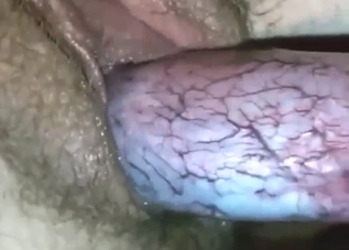 Close-up creampie featured in a crazy zoo movie
