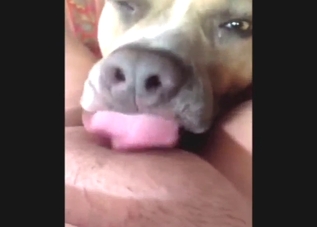 Sexy animal polishing that pussy in POV, so wet