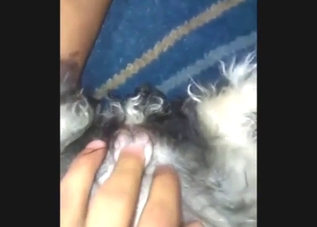 Impressive pussy play for a slutty fucking beast