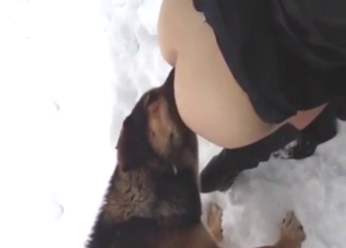 Outdoor anal licking from a dog in the snow