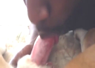 Dude looks confident while sucking a dog's dick