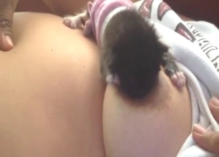 Puppy is going to suckle on brunette's nice tits