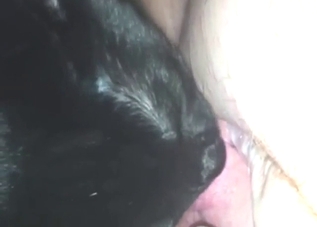 Black kitten is going to lick her pussy big time