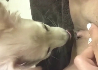 Dog is going to worship that juicy pussy hole