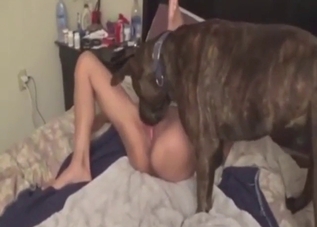 Asian babe pouts at the cam as dog licks her