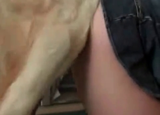 Cute animals enjoying tight pussies on cam