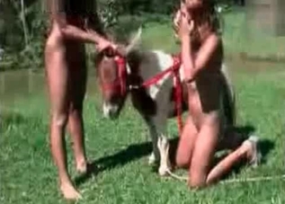 Slutty duo is about to fuck this horny horse