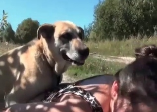 Outdoors hardcore with a horny-ass dog