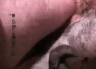 Deeply perverted zoophile dude goes wild