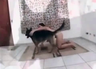 Dog is happy to fuck her yearning holes