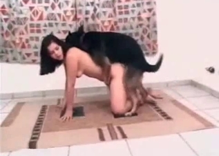 Dog is happy to fuck her yearning holes