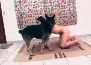 Dog is happy to fuck her yearning holes