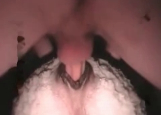 Bestiality banging with anal elements