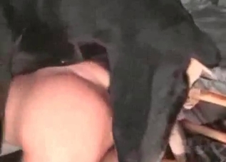 Tight pussy zoophile fucked by farm animals