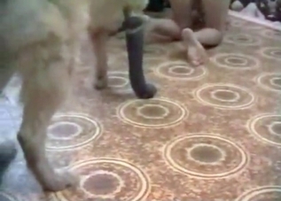 Two kinky chicks are into bestiality, big time