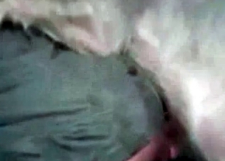 Guy's asshole is getting fucked in this bestiality clip