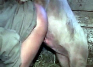 Guy's asshole is getting fucked in this bestiality clip