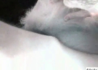 Tight booty cutie fucking a dog on camera