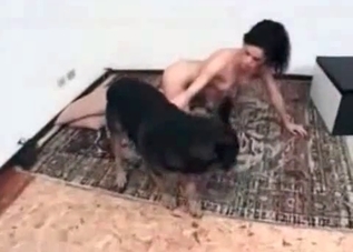 Slim slut enjoying this huge dog cock