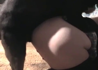 Busty babe enjoying hardcore fucking on camera