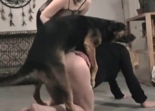 Slender chick taking this puppy's tiny cock