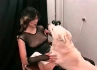 Insane sex session with a hulking dog