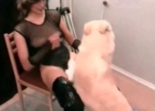 Insane sex session with a hulking dog