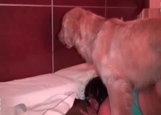 Dirty dog gets to fuck a naughty librarian