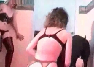 Dog urges her to get naked for him