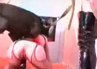 Dog urges her to get naked for him