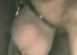 Mustang's asshole is getting pleasured here
