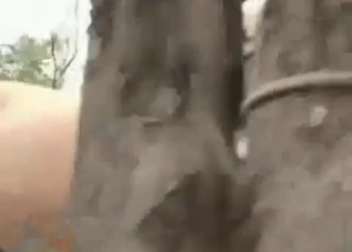Tight asshole getting fucked by a horse
