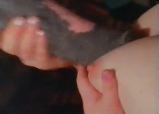 Farm-based animal fucking recorded in HD