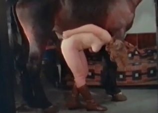 Farm-based animal fucking recorded in HD