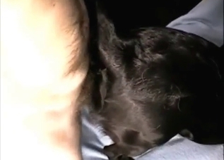Tiny/young black dog getting fucked in the ass