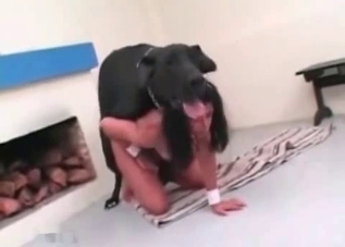 Dirty dog enjoying hardcore bestiality
