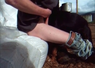 Massive cock for a seductive dog