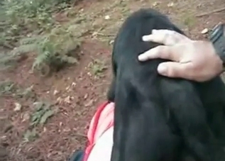 Horny dog gets to fuck outdoors