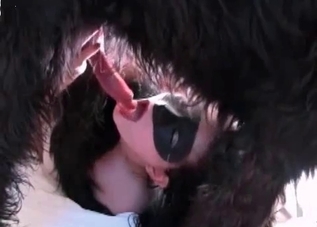Dog cock is getting orally pleased by her