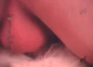 Sweet-looking anal recorded in high quality