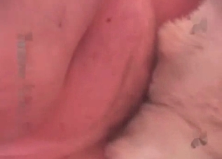 Sweet-looking anal recorded in high quality