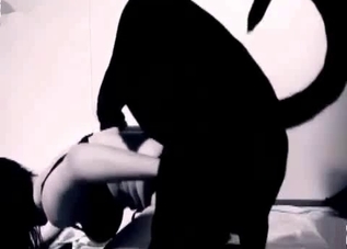 Kinky doggy enjoying this twisted slut's pussy