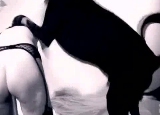 Kinky doggy enjoying this twisted slut's pussy