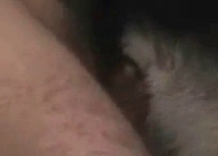 Hardcore fucking with an incredible dog