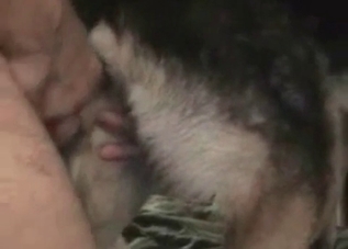 Hardcore fucking with an incredible dog