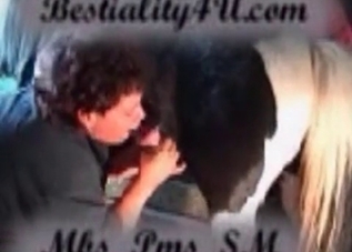 Huge horse cock and a sloppy blowjob