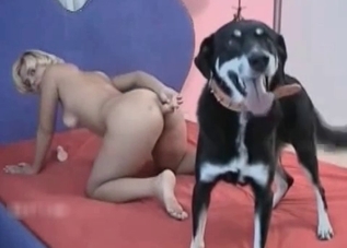 Incredibly dirty dog is into humans