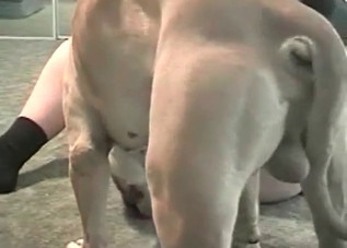 Sexy dog wants that wet little pussy